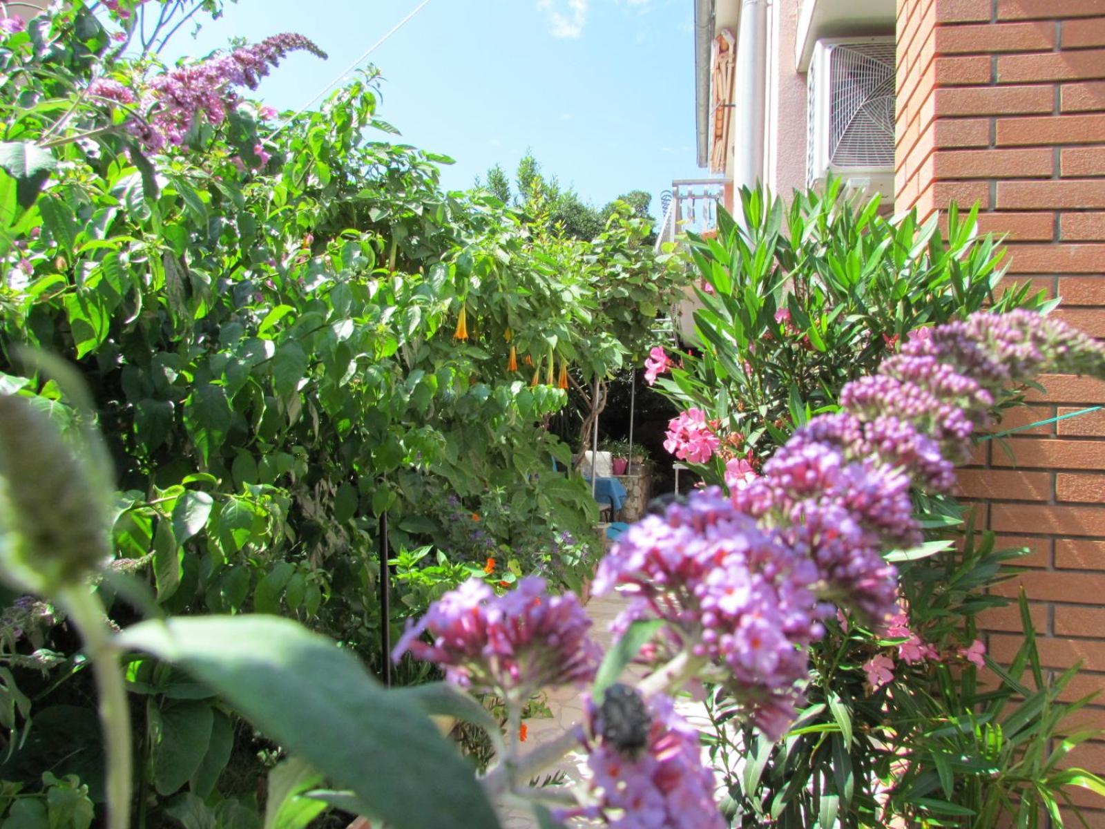Apartments Bura & Jugo, Cres, Without Stress Luaran gambar