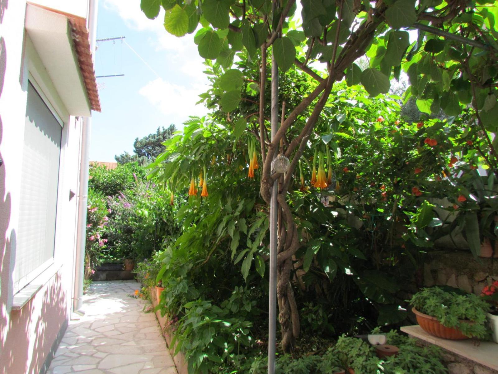 Apartments Bura & Jugo, Cres, Without Stress Luaran gambar