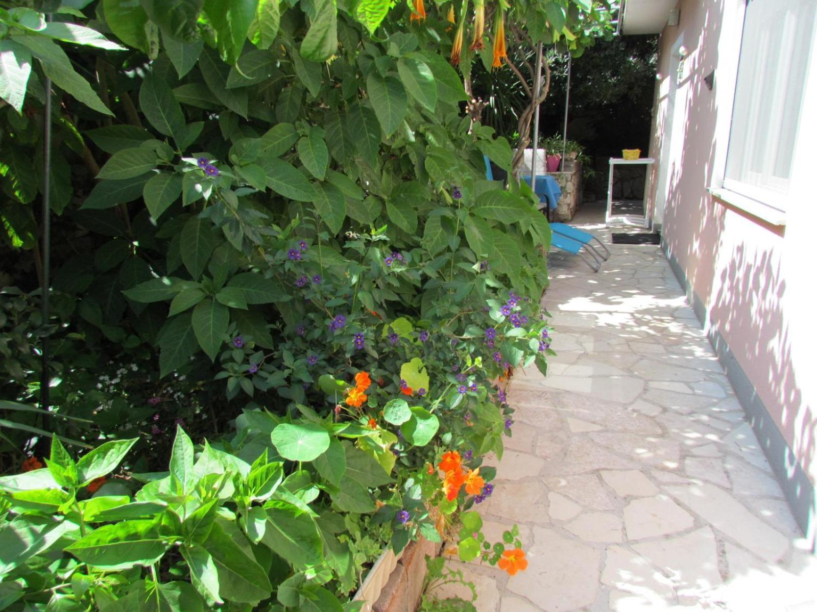 Apartments Bura & Jugo, Cres, Without Stress Luaran gambar