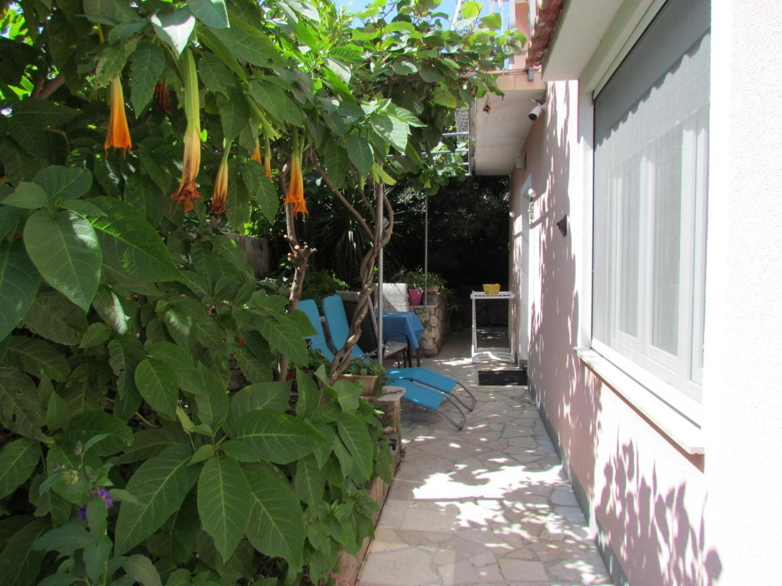 Apartments Bura & Jugo, Cres, Without Stress Luaran gambar